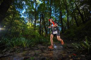 BIB: 3435, 
                            <button type="button" onclick="openModal(19232152)" class="btn btn-primary btn-sm float-right btn-popup" data-toggle="modal" data-target=".modal-high-quality">
                        <i class="fas fa-shopping-cart"></i> Add to Cart
                    </button>
                                            <button type="button" onclick="isThisMe(19232152, true)" class="btn btn-success btn-sm float-right btn-popup btn-isme hidden" data-toggle="tooltip" data-placement="bottom" title="นี่คือรูปของคุณใช่ไหม คลิกที่นี่เพื่อเอาเข้าอัลบั้ม">
                        <i class="fas fa-plus"></i> Add to album
                    </button>
                    <button type="button" onclick="isThisMe(19232152, false)" class="btn btn-warning btn-sm float-right btn-popup btn-isnotme hidden">
                        <i class="fas fa-ban"></i> Remove from album
                    </button>